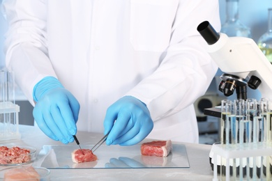 Photo of Scientist inspecting meat sample in laboratory. Food quality control