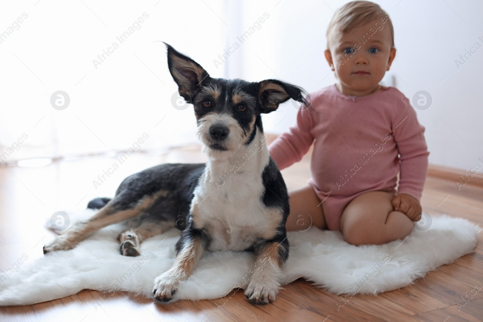 Photo of Adorable baby and cute dog on faux fur rug indoors