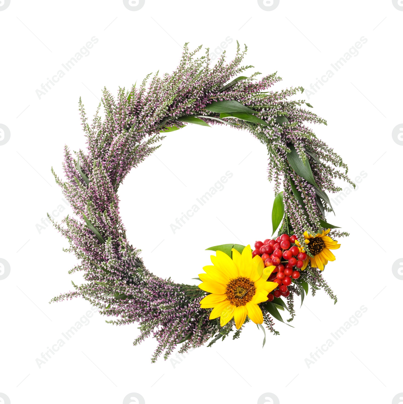 Photo of Beautiful autumnal wreath with heather flowers isolated on white