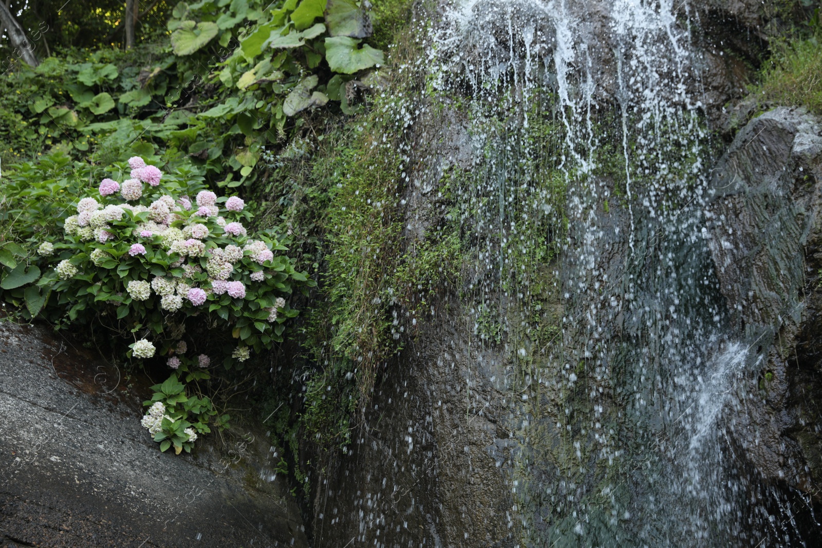 Photo of Picturesque view of beautiful mountain waterfall and flowers