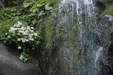 Photo of Picturesque view of beautiful mountain waterfall and flowers