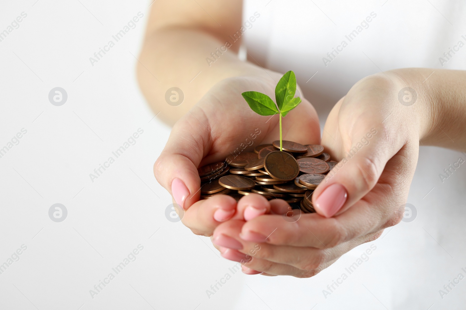 Photo of Woman holding many coins with green sprout on white background, closeup and space for text. Investment concept