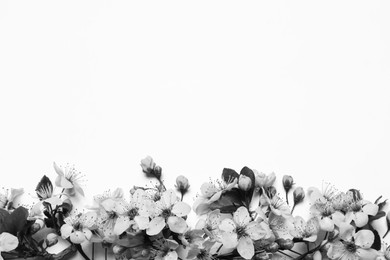 Beautiful spring tree blossoms on light background, top view. Black and white tone 