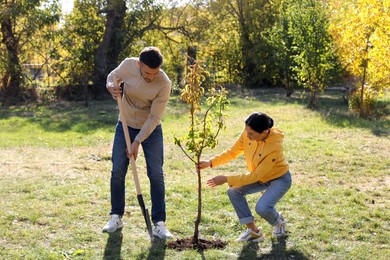 People planting young tree in park on sunny day