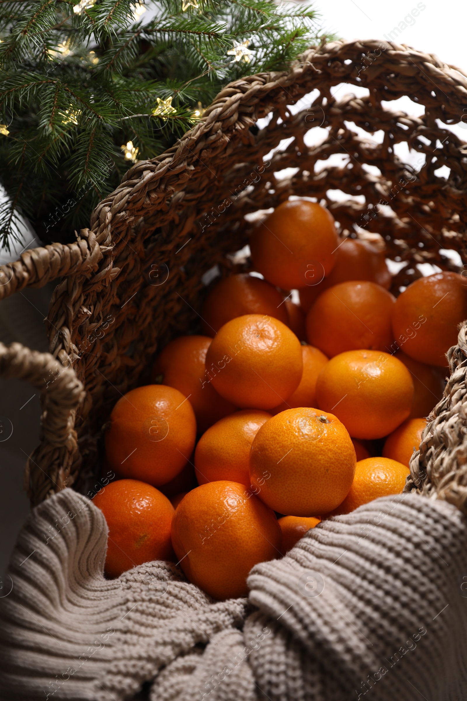 Photo of Net bag with fresh ripe tangerines and fir tree branch, above view