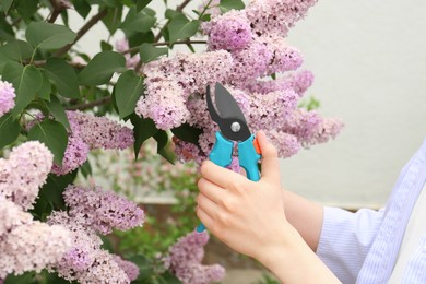 Gardener pruning lilac branch with secateurs outdoors, closeup