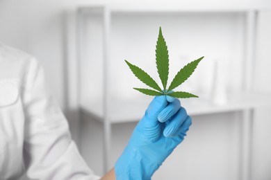 Photo of Scientist with hemp in office, closeup. Medical cannabis