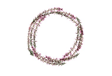 Frame of heather branches with beautiful flowers on white background, top view. Space for text