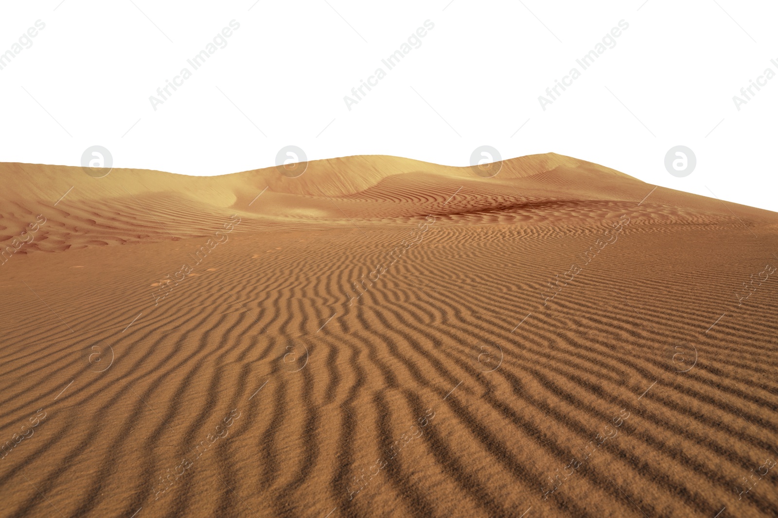 Image of Sand dunes on white background. Wild desert 