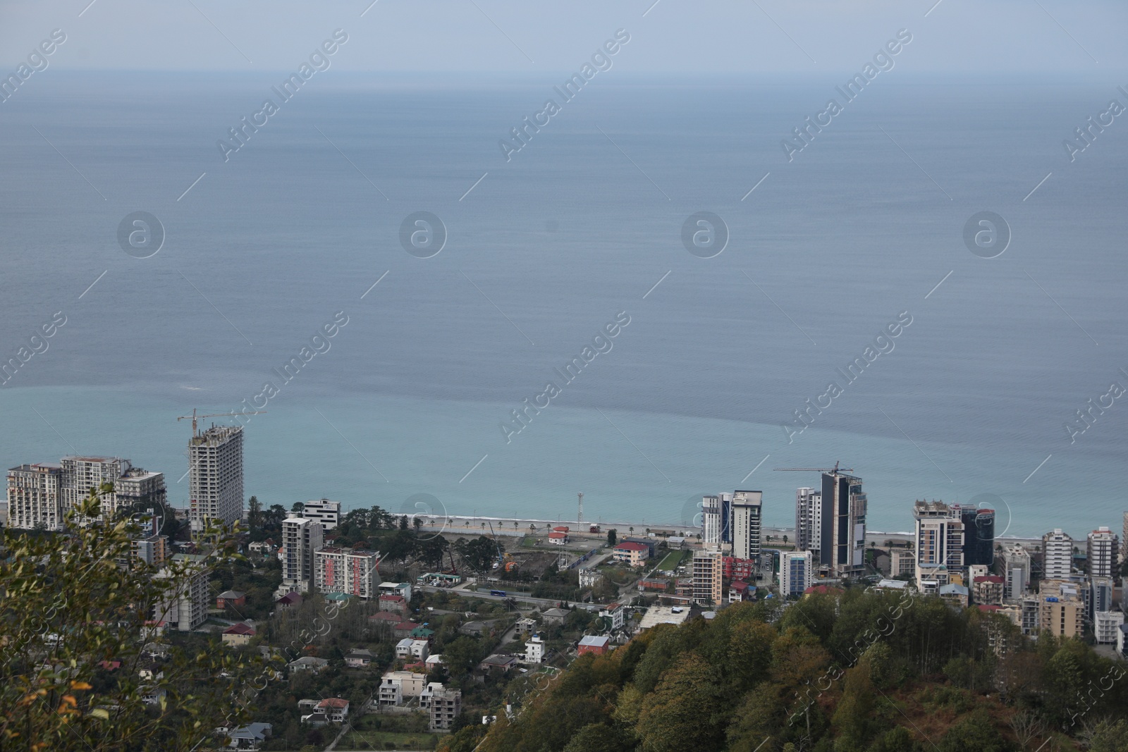 Photo of Picturesque view of city, green trees and sea