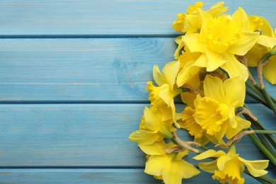 Photo of Beautiful daffodils on blue wooden table, top view. Space for text