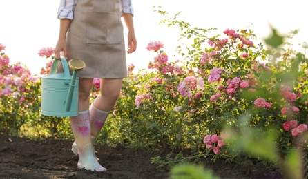 Woman with watering can near rose bushes outdoors, closeup. Gardening tool