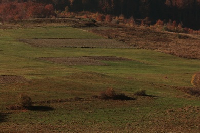 Beautiful landscape with green field on sunny day