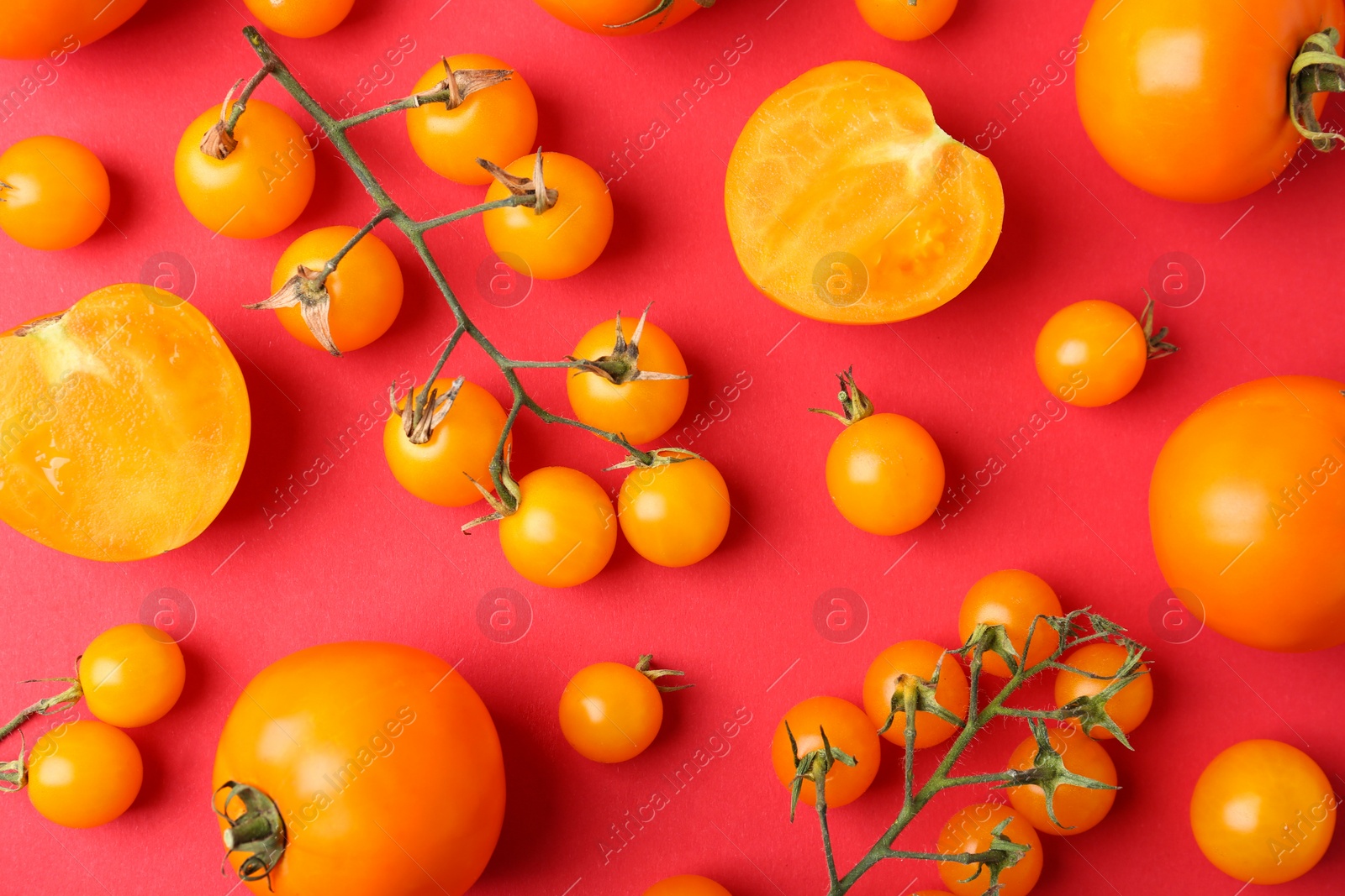 Photo of Flat lay composition with fresh ripe tomatoes on red background