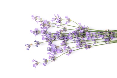 Photo of Beautiful tender lavender flowers on white background, top view