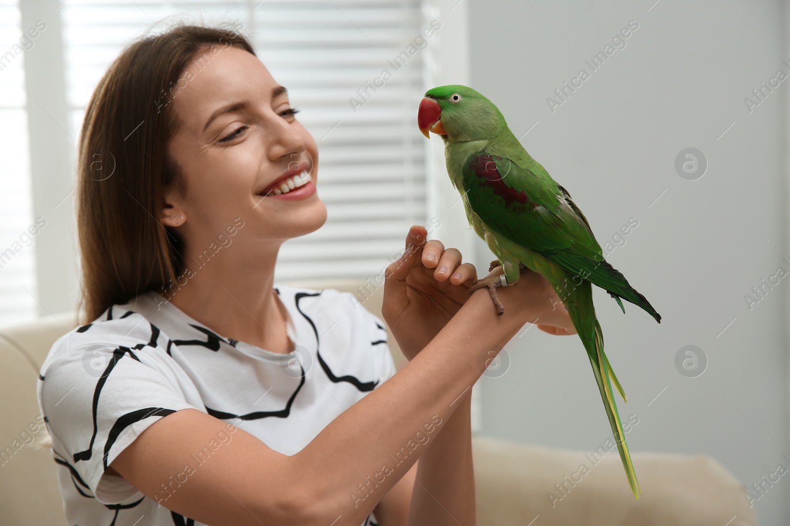 Photo of Young woman with cute Alexandrine parakeet indoors