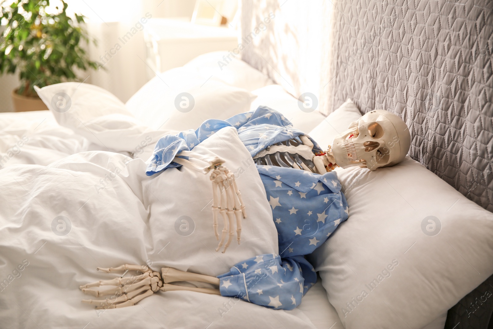 Photo of Human skeleton in pajamas lying on bed indoors