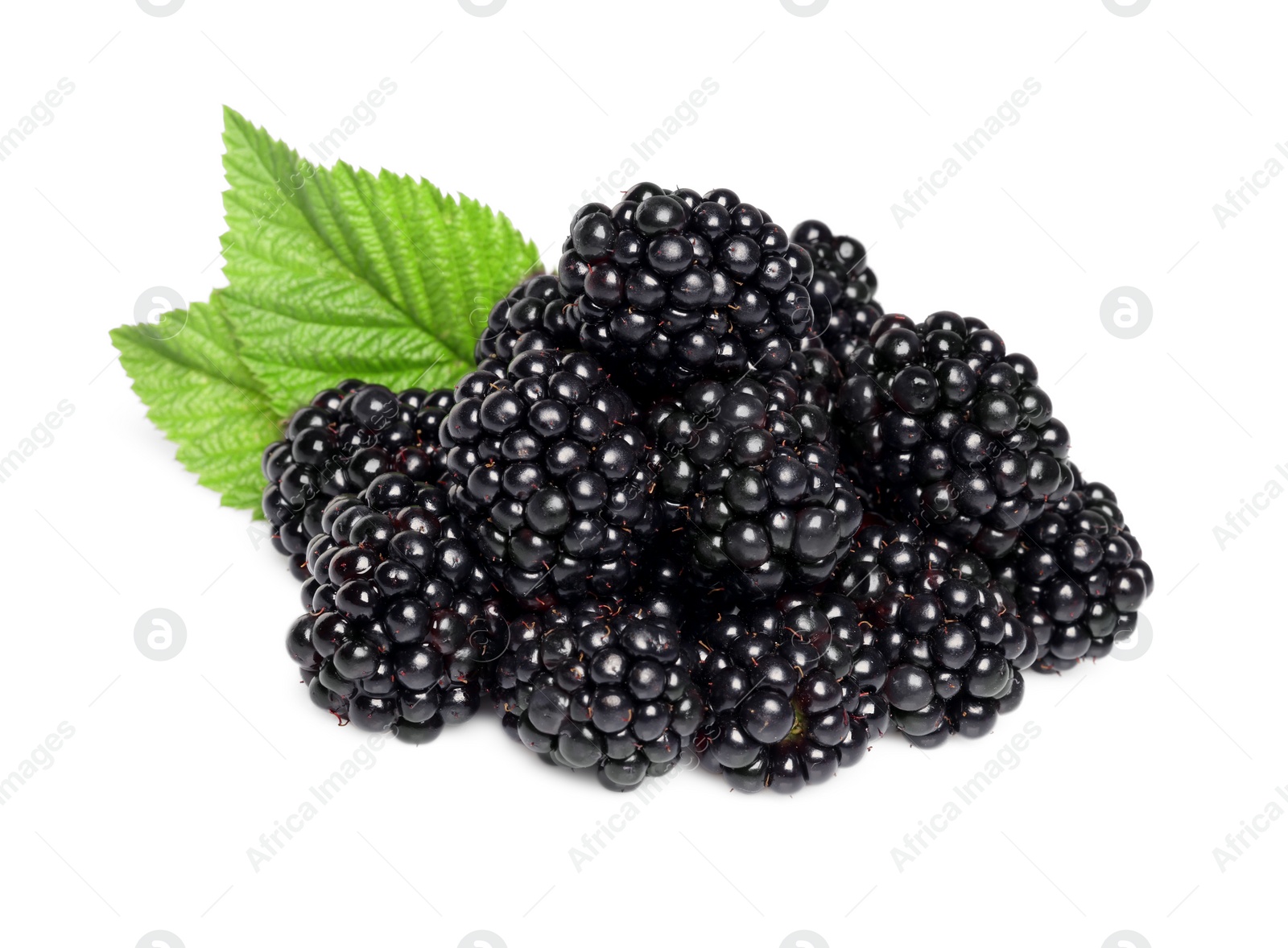 Photo of Pile of ripe blackberries with green leaves isolated on white