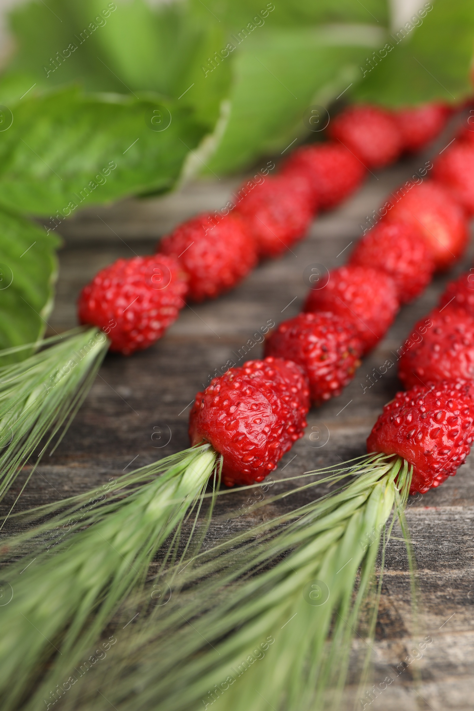 Photo of Grass stems with wild strawberries and leaves on wooden table, closeup