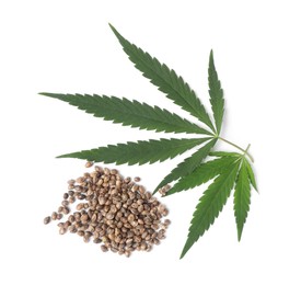 Photo of Fresh green hemp leaves and seeds on white background, top view