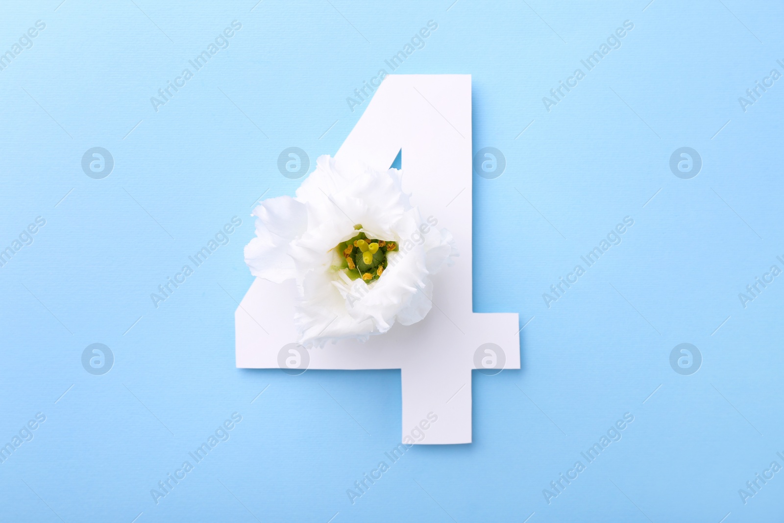 Photo of Paper number 4 and beautiful flower on light blue background, top view