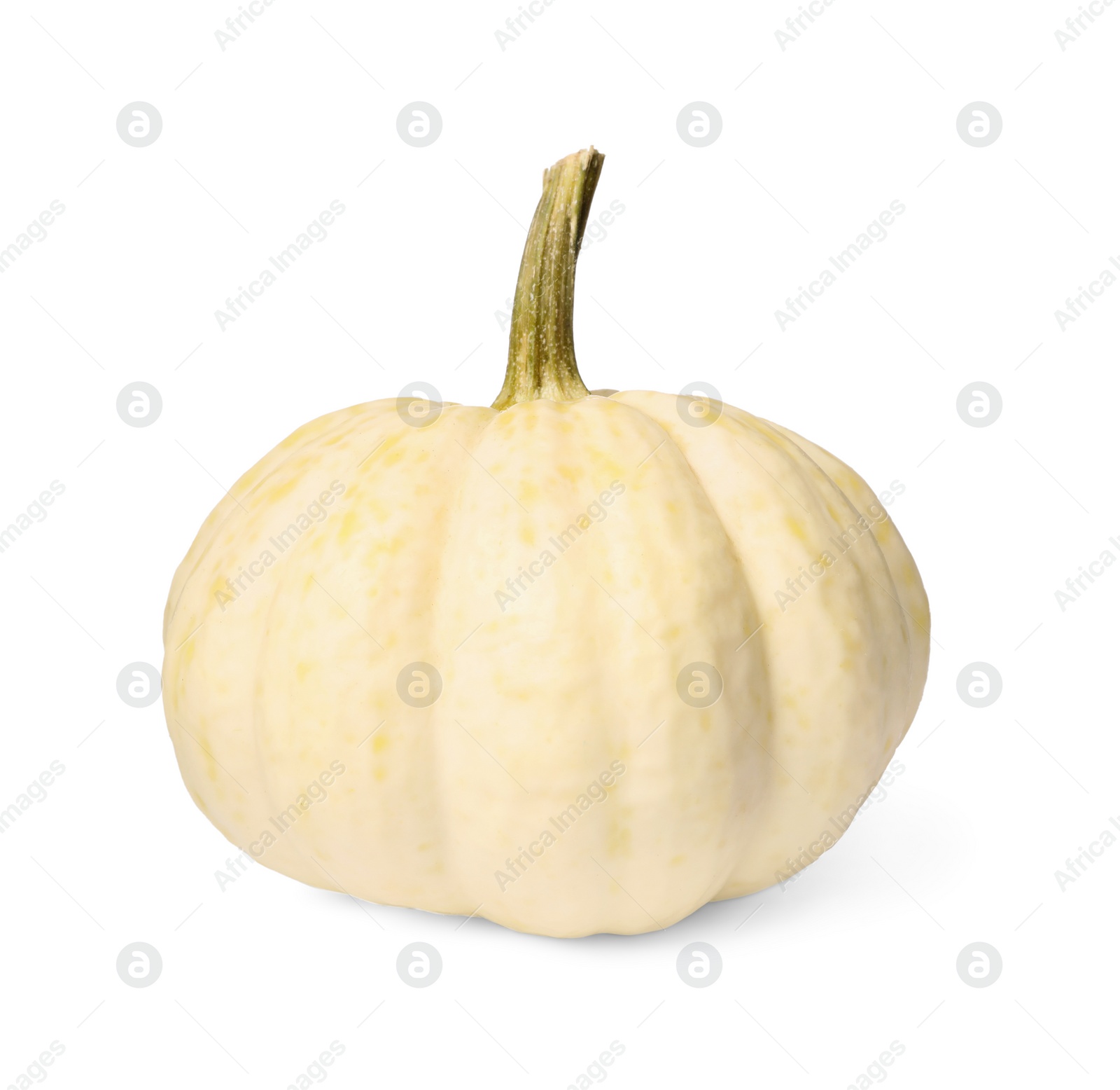 Photo of One fresh ripe pumpkin isolated on white