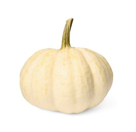 Photo of One fresh ripe pumpkin isolated on white