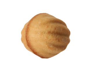 Photo of Delicious nut shaped cookie with condensed milk isolated on white