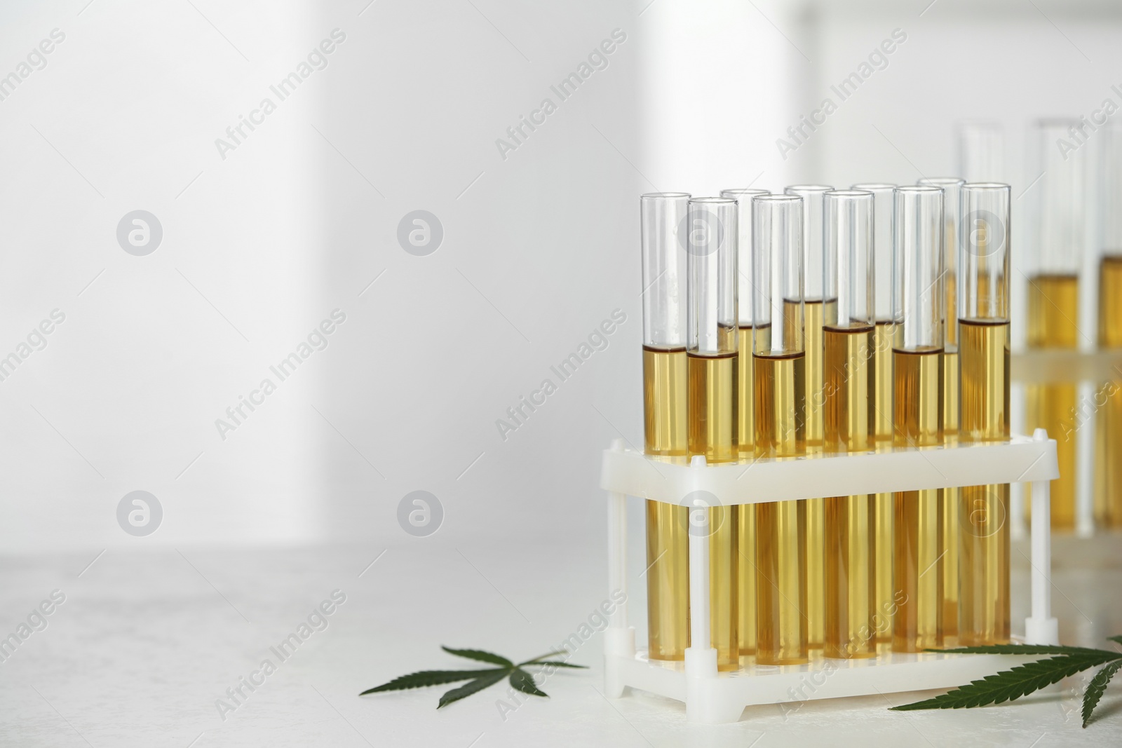 Photo of Test tubes with urine samples and hemp leaves on table. Space for text