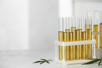 Photo of Test tubes with urine samples and hemp leaves on table. Space for text