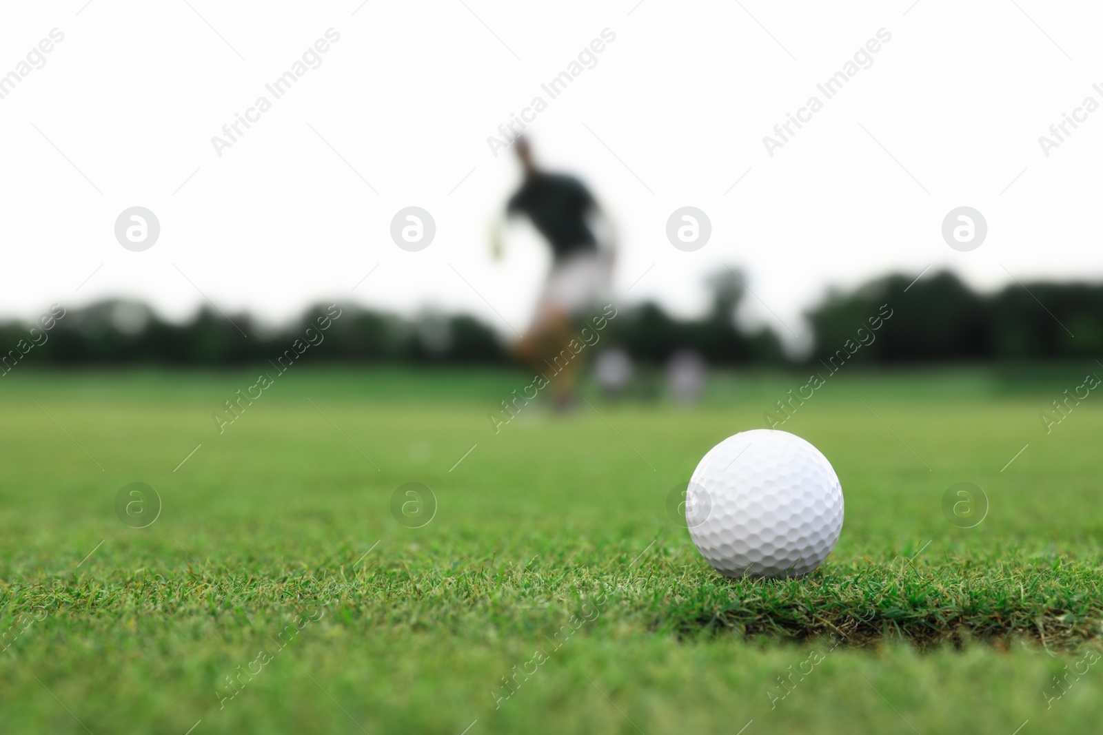Photo of Man playing golf on green course, ball in focus. Sport and leisure