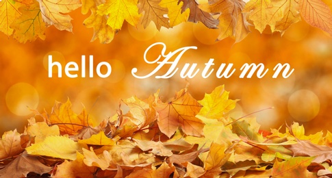 Image of Text Hello Autumn and beautiful golden leaves on blurred background, bokeh effect