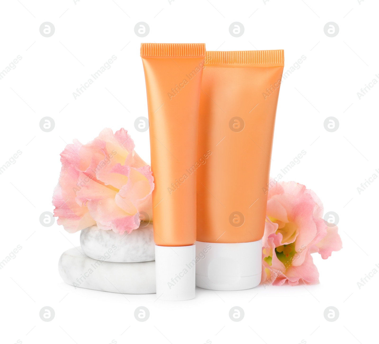 Photo of Cosmetic products, flowers and spa stones on white background