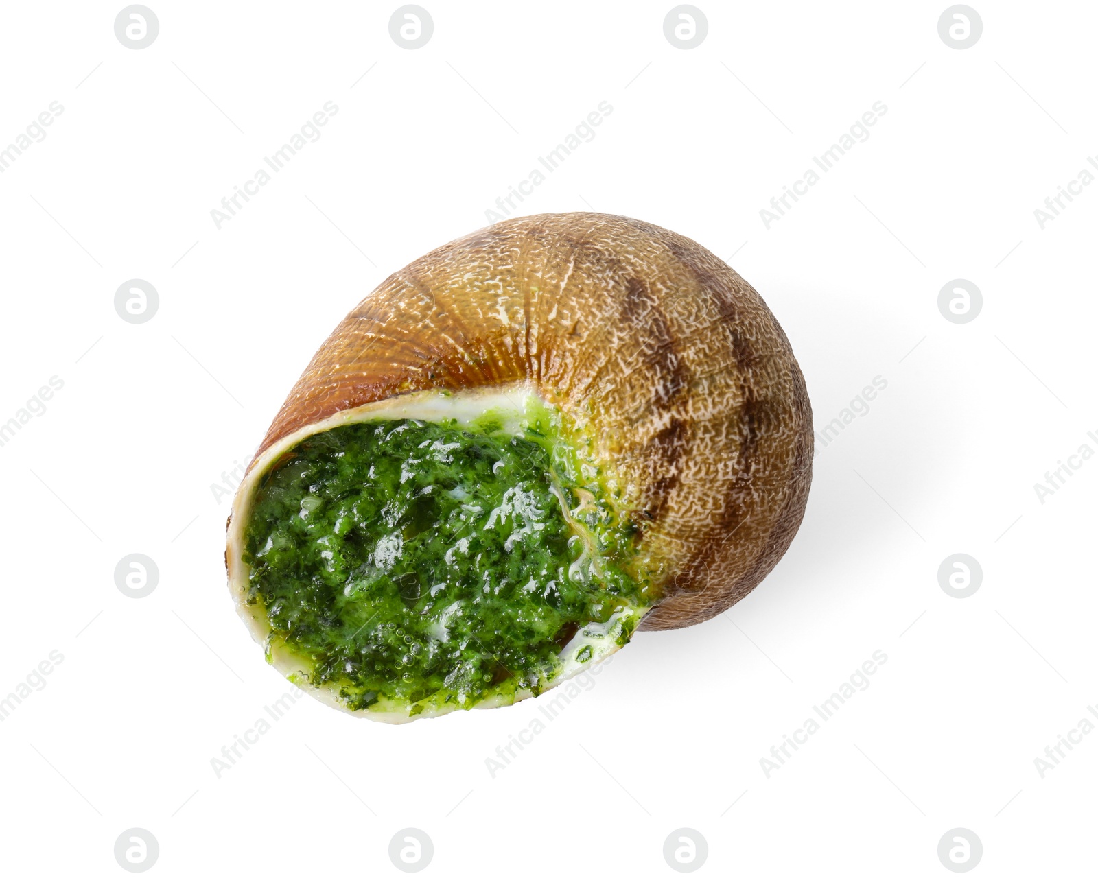 Photo of One delicious cooked snail isolated on white, top view