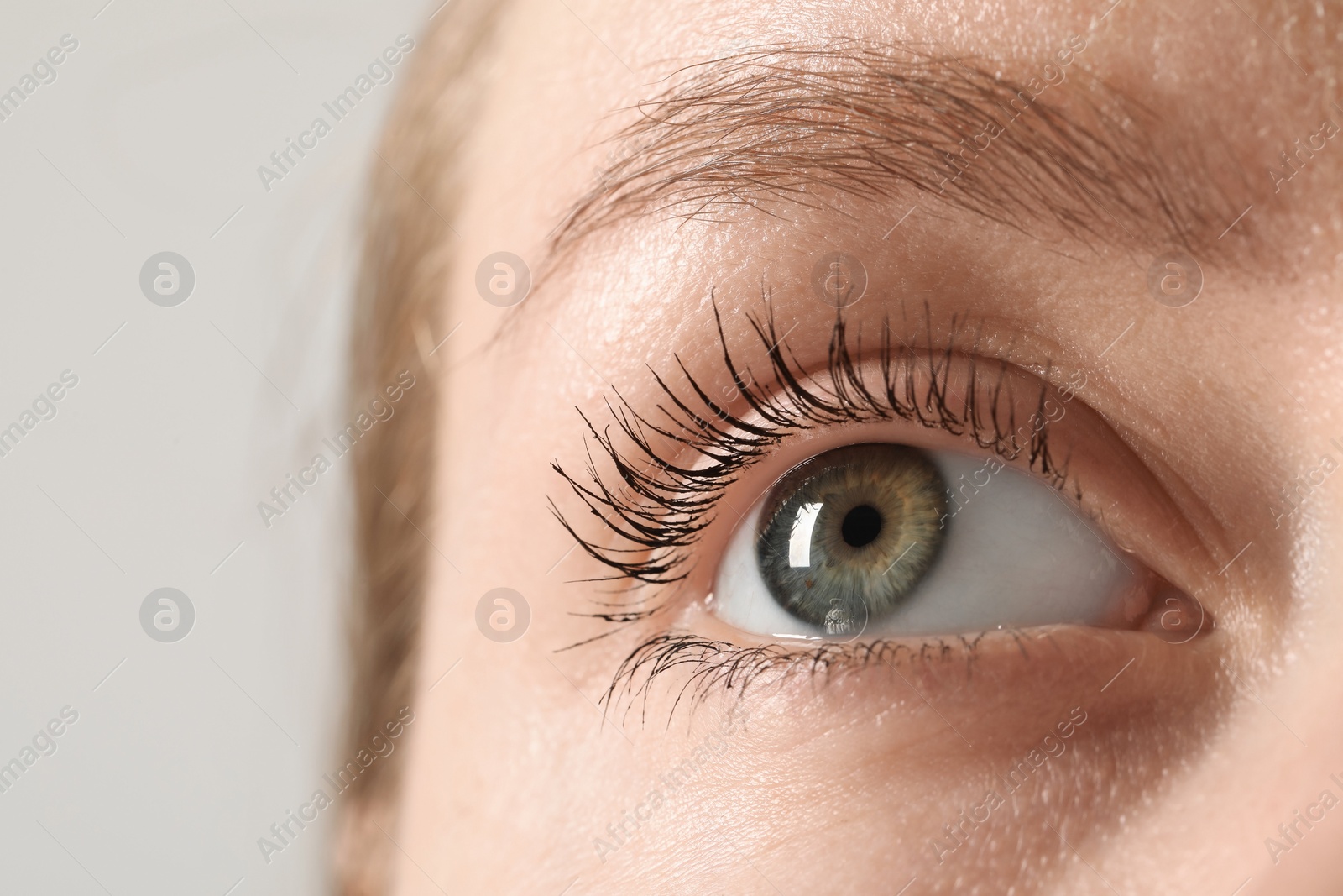 Photo of Macro photo of woman with beautiful eyes on light background