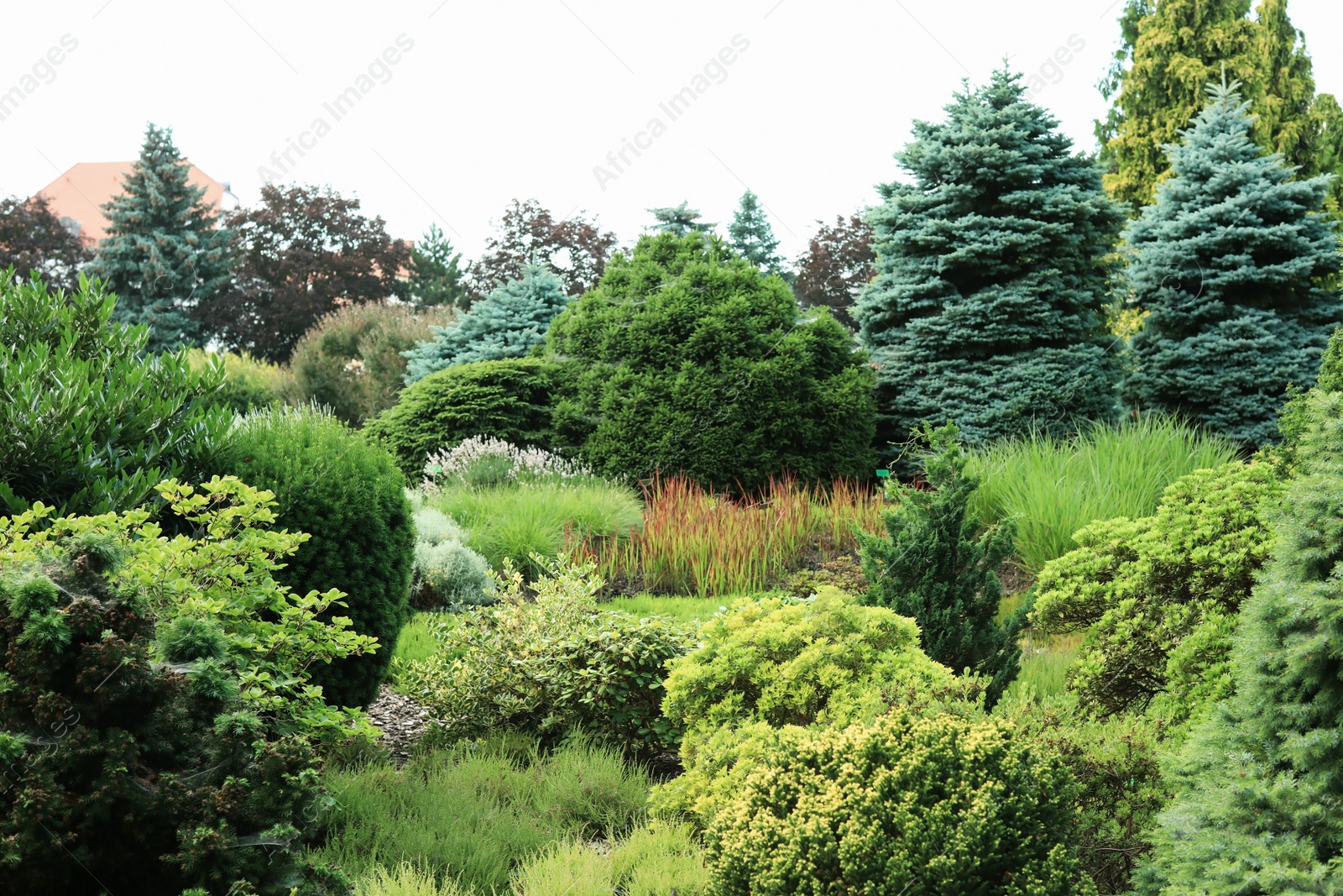 Photo of Botanical garden with beautiful plants on sunny day