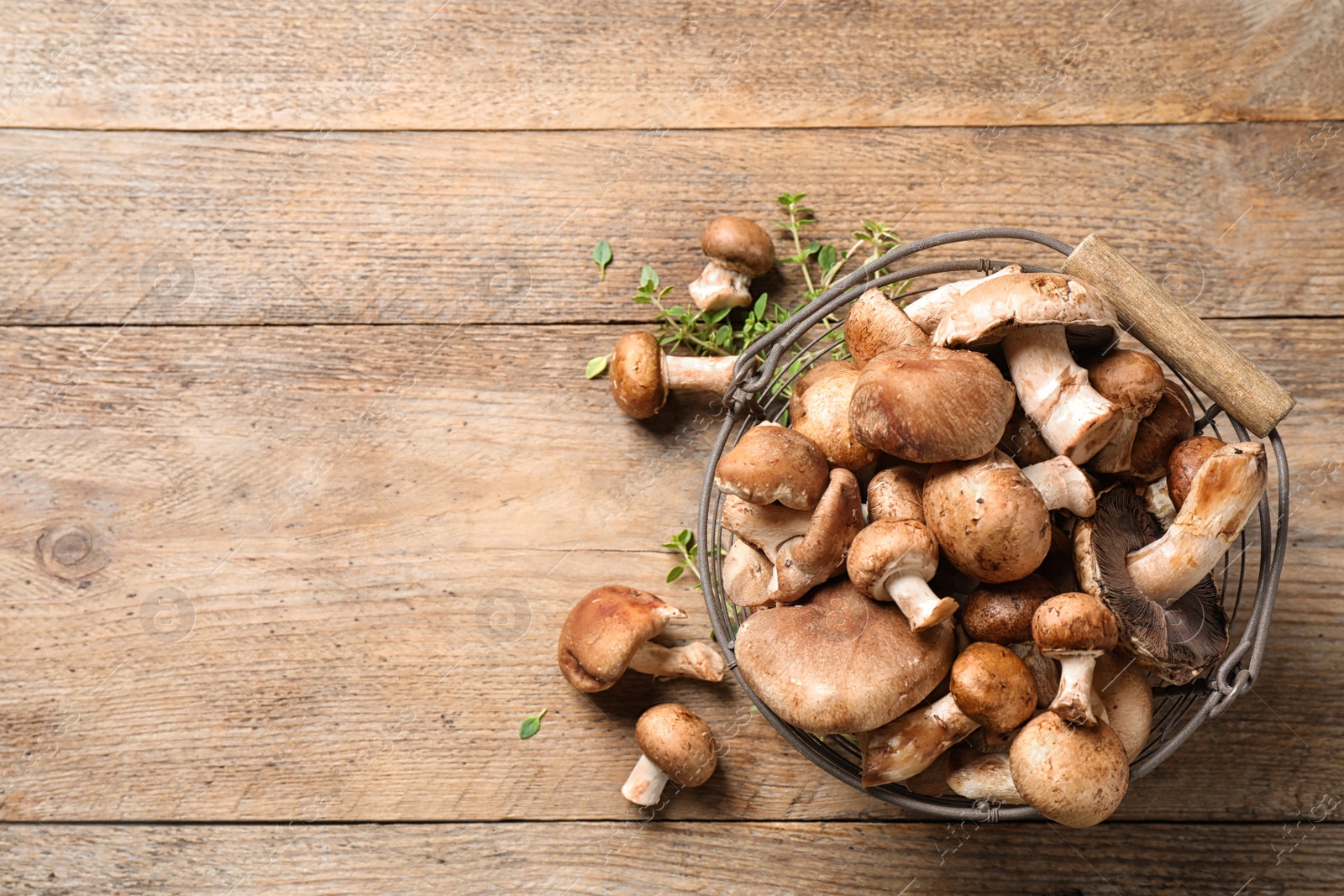 Photo of Different wild mushrooms in metal basket on wooden background, top view. Space for text