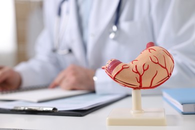 Photo of Gastroenterologist working at table in clinic, focus on human stomach model
