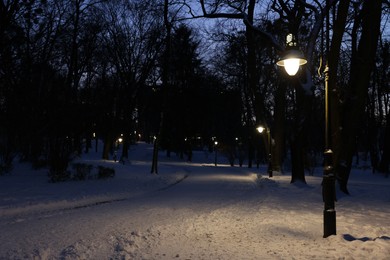 Photo of Trees, street lamp and pathway covered with snow in evening park