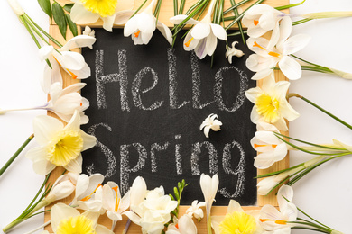 Photo of Blackboard with words HELLO SPRING and fresh flowers on white background, flat lay