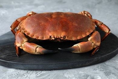 Photo of Delicious boiled crab on grey textured table, closeup