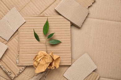 Green plant and crumpled paper on carton, top view with space for text