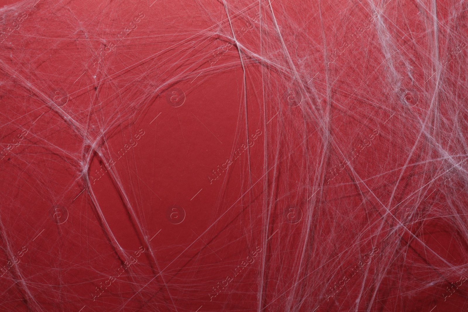 Photo of Creepy white cobweb hanging on red background