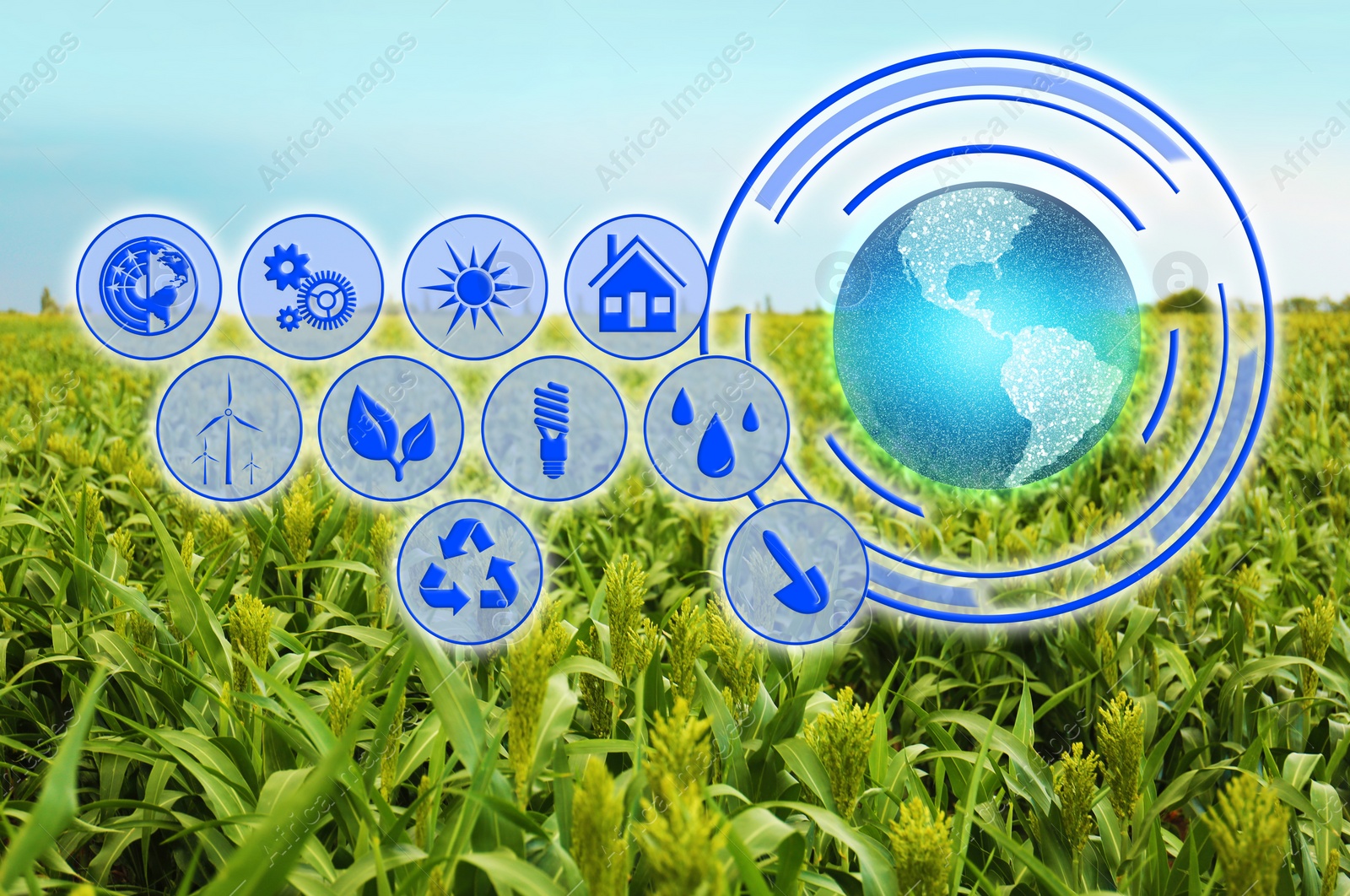 Image of Modern agriculture concept. Icons and field on background