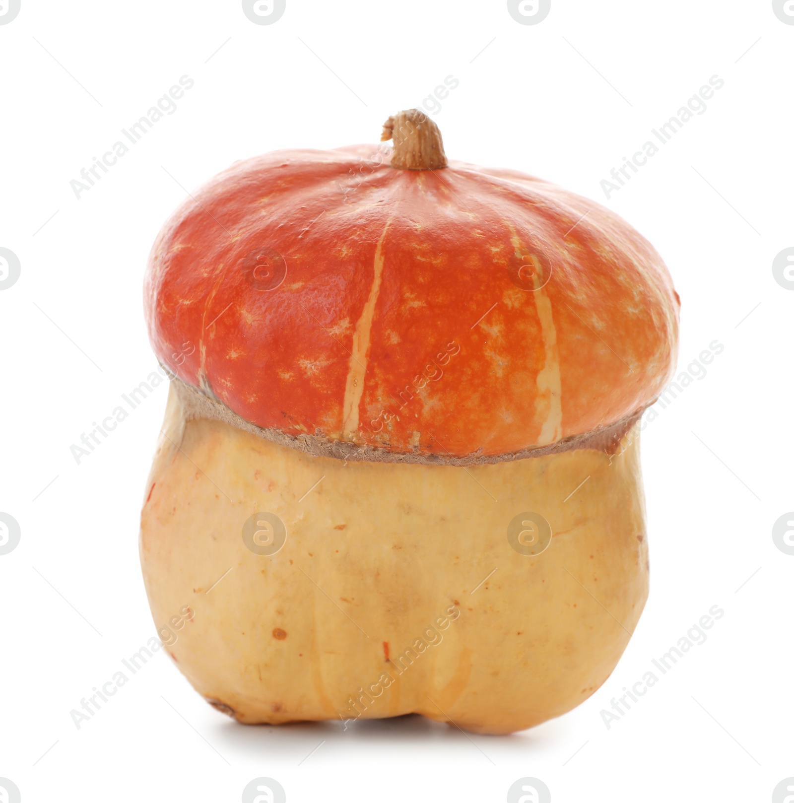 Photo of Fresh raw pumpkin isolated on white. Organic plant