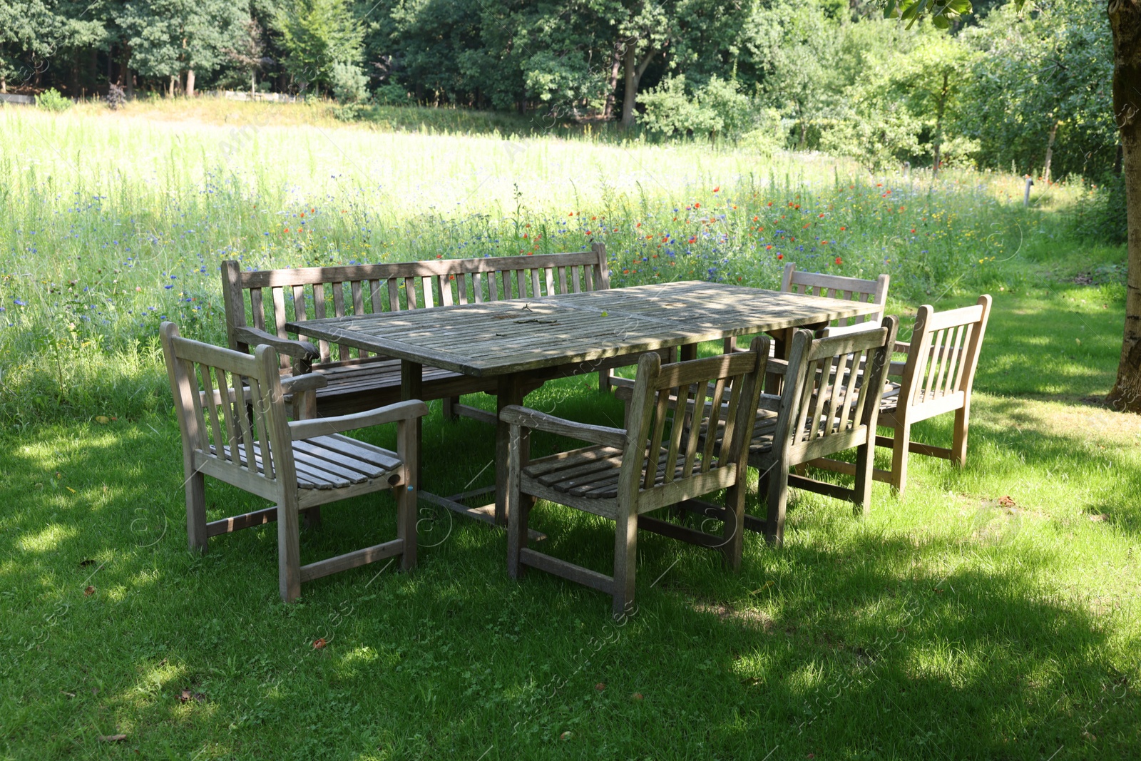 Photo of Empty wooden table with bench and chairs in garden