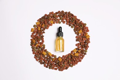 Photo of Tincture in frame of dry pet food on white background, top view