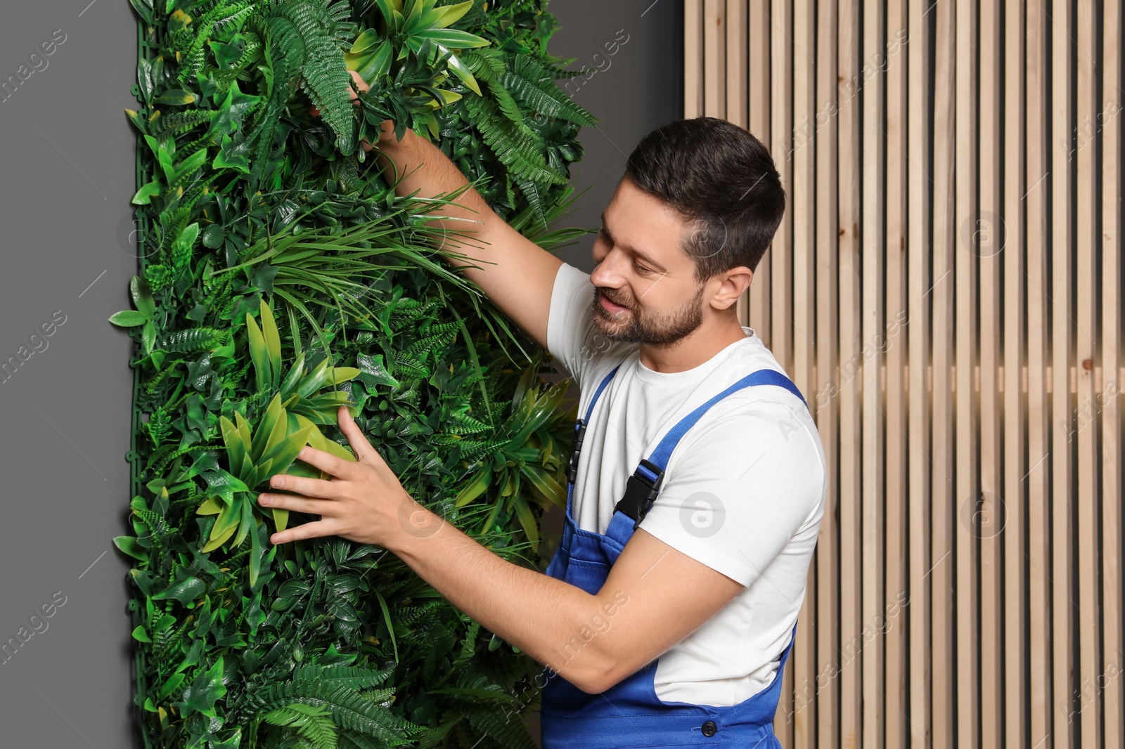 Photo of Man installing green artificial plant panel on grey wall in room
