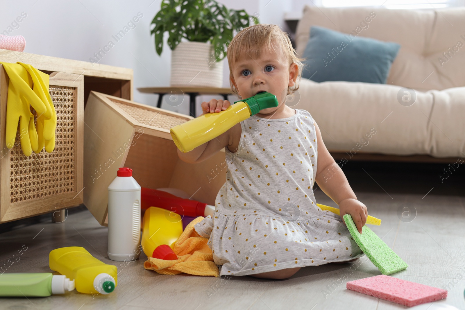 Photo of Cute baby playing with bottle of detergent on floor at home. Dangerous situation