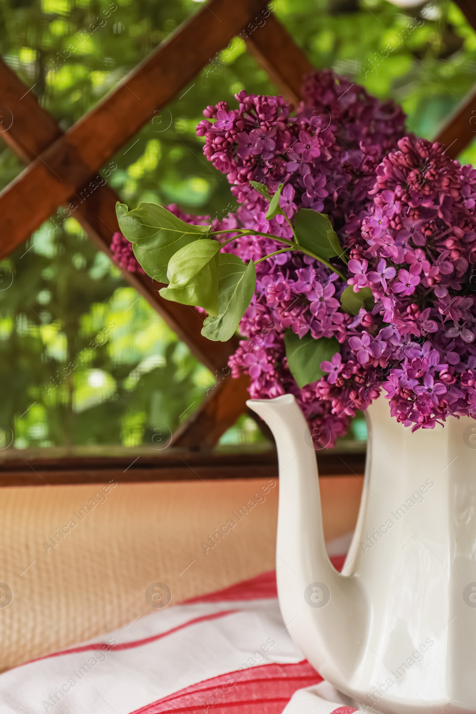 Photo of Beautiful lilac flowers in teapot near window indoors